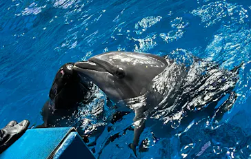 マクセル アクアパーク品川に投稿された画像（2026/3/16）