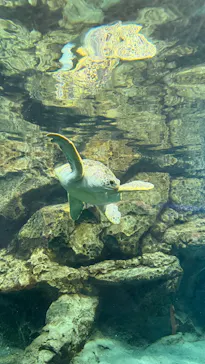 名古屋港水族館に投稿された画像（2026/3/16）