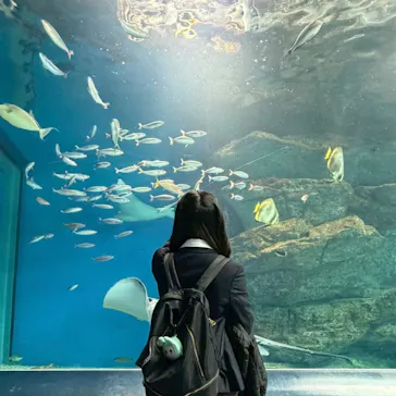 マクセル アクアパーク品川に投稿された画像（2026/3/16）