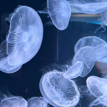 マクセル アクアパーク品川に投稿された画像（2026/3/16）