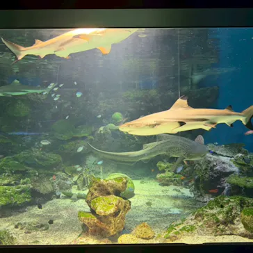 マクセル アクアパーク品川に投稿された画像（2026/3/16）