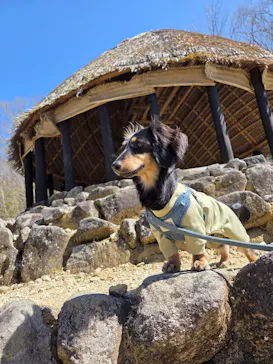 野外民族博物館 リトルワールドに投稿された画像（2026/3/16）