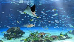サンシャイン水族館に投稿された画像（2026/3/16）