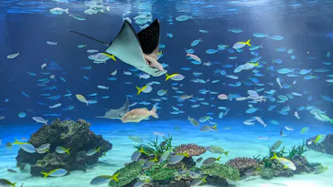 サンシャイン水族館に投稿された画像（2026/3/16）