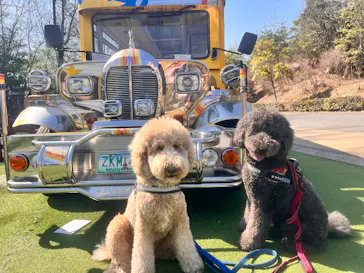 野外民族博物館 リトルワールドに投稿された画像（2026/3/16）