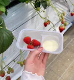 山万ユーカリファームに投稿された画像（2026/3/16）