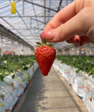 山万ユーカリファームに投稿された画像（2026/3/16）