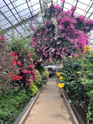 熱川バナナワニ園に投稿された画像（2026/3/16）