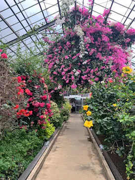 熱川バナナワニ園に投稿された画像（2026/3/16）