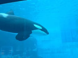 名古屋港水族館に投稿された画像（2026/3/16）