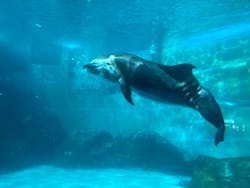 名古屋港水族館に投稿された画像（2026/3/16）