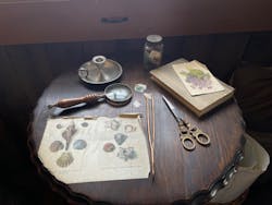 ムーミンバレーパークに投稿された画像（2026/3/16）