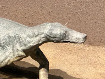 福井県立恐竜博物館に投稿された画像（2026/3/16）