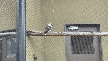 天王寺動物園に投稿された画像（2026/3/16）