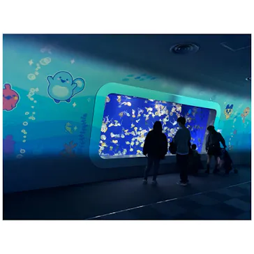 新江ノ島水族館に投稿された画像（2026/3/16）