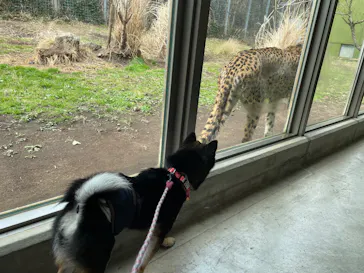 伊豆アニマルキングダムに投稿された画像（2026/3/16）