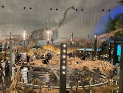 福井県立恐竜博物館に投稿された画像（2026/3/16）
