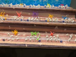 福井県立恐竜博物館に投稿された画像（2026/3/16）