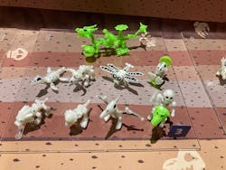 福井県立恐竜博物館に投稿された画像（2026/3/16）