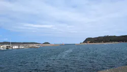 和歌山市観光協会に投稿された画像（2026/3/16）