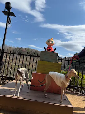 ムーミンバレーパークに投稿された画像（2026/3/16）