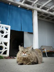 STUDIO N2（スタジオエヌツー）に投稿された画像（2026/3/17）