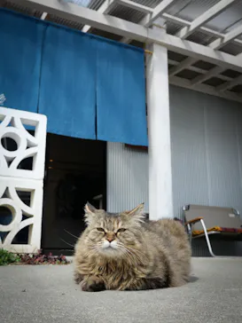 STUDIO N2（スタジオエヌツー）に投稿された画像（2026/3/17）