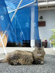 STUDIO N2（スタジオエヌツー）に投稿された画像（2026/3/17）