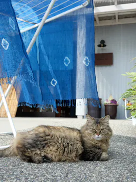 STUDIO N2（スタジオエヌツー）に投稿された画像（2026/3/17）