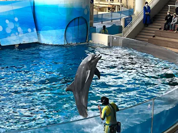 新江ノ島水族館に投稿された画像（2026/3/17）