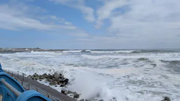 アクアワールド茨城県大洗水族館に投稿された画像（2026/3/17）