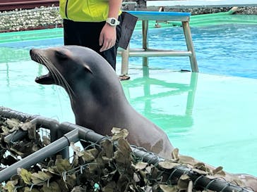 あわしまマリンパークに投稿された画像（2026/3/17）