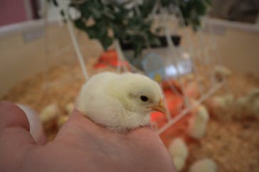 アニタッチPARKイオンモール太田に投稿された画像（2026/3/17）