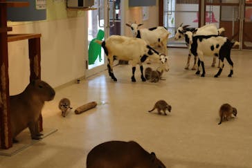 アニタッチPARKイオンモール太田に投稿された画像（2026/3/17）