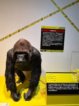 特別展「超危険生物展　科学で挑む生き物の本気」に投稿された画像（2026/3/17）