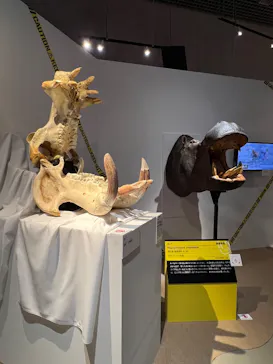 特別展「超危険生物展　科学で挑む生き物の本気」に投稿された画像（2026/3/17）