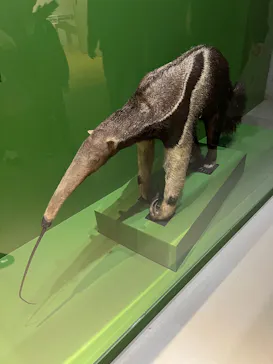 特別展「超危険生物展　科学で挑む生き物の本気」に投稿された画像（2026/3/17）