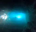 武藤潜水に投稿された画像（2026/3/17）