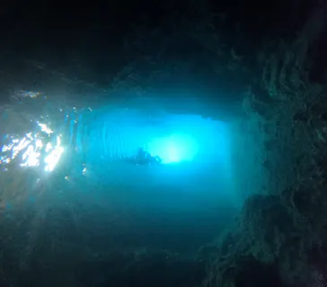 武藤潜水に投稿された画像（2026/3/17）