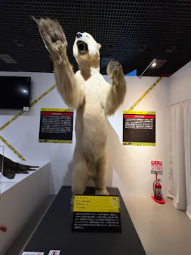 特別展「超危険生物展　科学で挑む生き物の本気」に投稿された画像（2026/3/17）