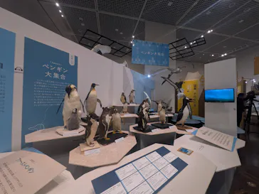 特別展「鳥 ～ゲノム解析が解き明かす新しい鳥類の系統～」に投稿された画像（2026/3/17）