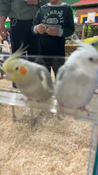 いきもの探検隊上尾に投稿された画像（2026/3/17）