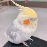 アニタッチ 東京ドームシティに投稿された画像（2026/3/17）