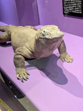 特別展「超危険生物展　科学で挑む生き物の本気」に投稿された画像（2026/3/17）