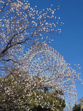 ナガシマスパーランドに投稿された画像（2026/3/17）