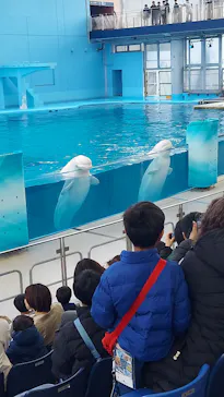 横浜・八景島シーパラダイスに投稿された画像（2026/3/17）