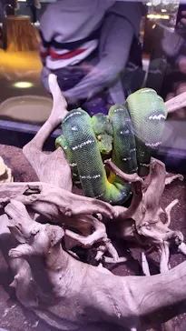 AQUARIUM × ART　atoaに投稿された画像（2026/3/17）