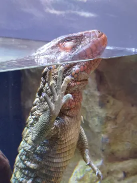 AQUARIUM × ART　atoaに投稿された画像（2026/3/17）