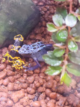 AQUARIUM × ART　atoaに投稿された画像（2026/3/17）