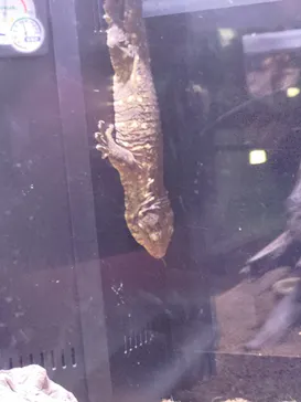 AQUARIUM × ART　atoaに投稿された画像（2026/3/17）